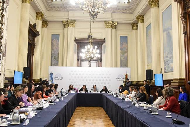 Democracia paritaria, tema del encuentro entre parlamentarias de Argentina y Bolivia